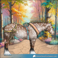 Horse Color:Gray Black Pearl Appaloosa