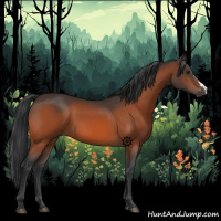 Horse Color:Brown 