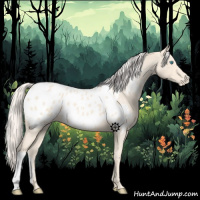 Horse Color:Cremello Appaloosa 