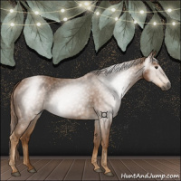 Horse Color:Gray Chestnut 