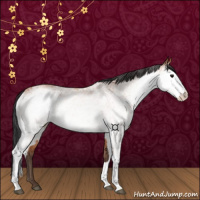 Horse Color:White Spotted Bay Rabicano