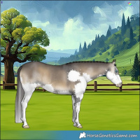 Horse Color:Smoky Blue Onyx Splash Rabicano 