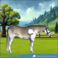 Horse Color:Smoky Blue Onyx Splash Rabicano