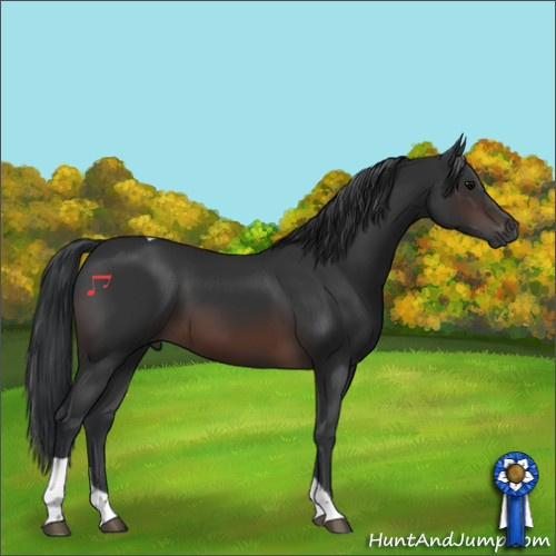 Horse Color:Brown Tobiano 