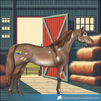 Horse Color:White Spotted Liver Red Dun 
