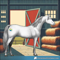 Horse Color:Gray Black 