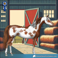 Horse Color:Chestnut Frame 