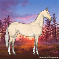 Horse Color:Silver Buckskin Roan Dun Tobiano