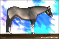 Horse Color:Blue Onyx Rabicano