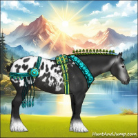 Horse Color:Gray Black Appaloosa