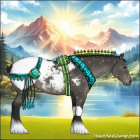 Horse Color:Gray Black Appaloosa 