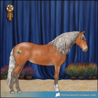 Horse Color:Silver Bay 
