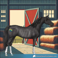 Horse Color:Smoky Black Rabicano 