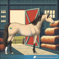 Horse Color:Buckskin Rabicano 