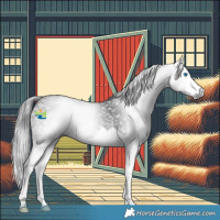 Horse Color:Gray Black Splash Rabicano 