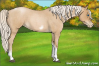 Horse Color:Silver Blue Roan Pearl Tobiano Frame 