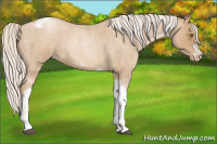 Horse Color:Silver Blue Roan Pearl Tobiano Frame 