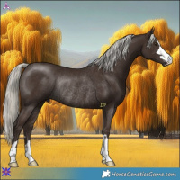 Horse Color:Liver Chestnut Mushroom Rabicano