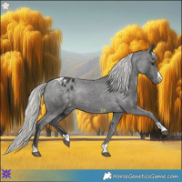 Horse Color:Liver Chestnut Mushroom Appaloosa Rabicano