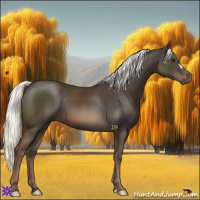 Horse Color:Liver Chestnut Mushroom 