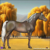 Horse Color:Liver Chestnut Mushroom Rabicano 