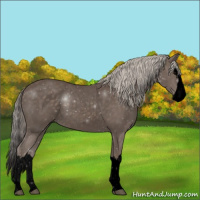 Horse Color:Void Silver Blue Roan Splash