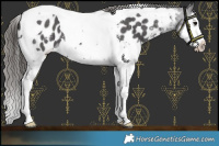 Horse Color:Smoky Black Sabino Splash Tobiano Near Leopard 