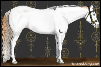 Horse Color:Smoky Black Pearl Splash Tobiano  and Buckskin Pearl Splash Tobiano 