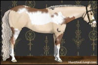 Horse Color:Chestnut Frame  and Palomino Pearl 