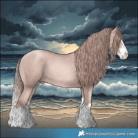 Horse Color:Platinum Gold Champagne Splash 