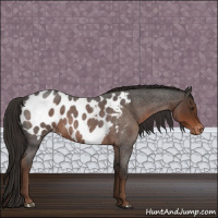 Horse Color:Liver Red Roan Blanket 