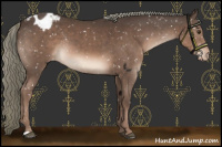 Horse Color:Liver Chestnut Mushroom Snowflake Varnish 