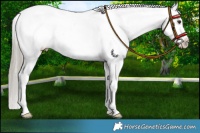 Horse Color:Liver Red Roan Mushroom Blanket 