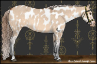 Horse Color:Bay Roan Dun Near Leopard Rabicano