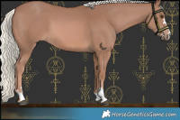 Horse Color:Chestnut Mushroom