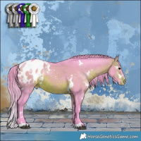 Horse Color:Watercolor White Spotted Brown Blanket 