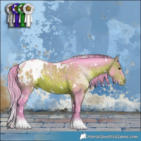 Horse Color:Watercolor White Spotted Brown Appaloosa