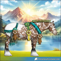 Horse Color:Gray Black Pearl Appaloosa