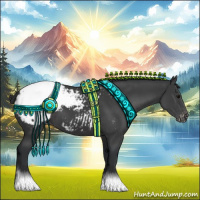 Horse Color:Black Appaloosa 