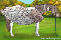 Horse Color:Platinum Chestnut Tobiano Appaloosa 