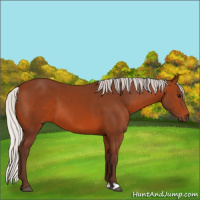 Horse Color:Silver Brown 