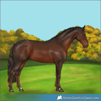 Horse Color:Liver Chestnut 