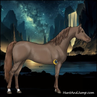 Horse Color:Liver Red Dun Rabicano 