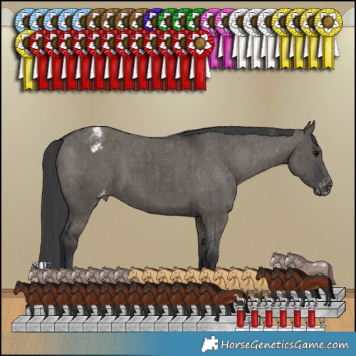 Horse Color:Grullo Varnish Brindle 