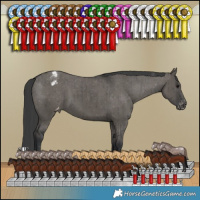 Horse Color:Grullo Varnish Brindle 