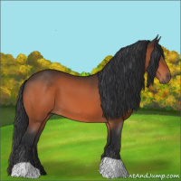 Horse Color:Brown 