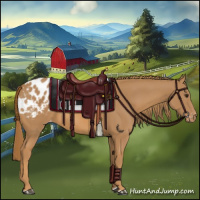 Horse Color:Chestnut Appaloosa 