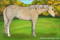 Horse Color:Palomino Ice 