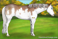 Horse Color:Silver Brown Splash 