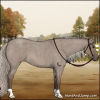 Horse Color:Silver Grullo Roan 